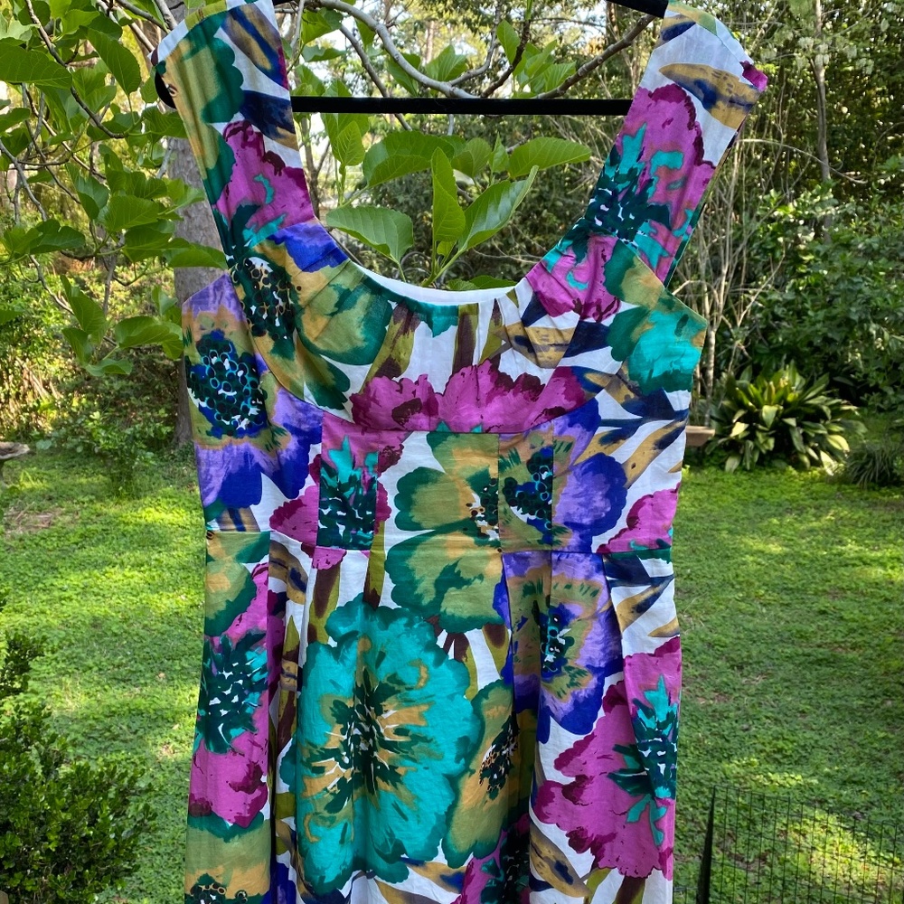 Calvin Klein Women's Sleeveless Floral Fit and Flare Dress, Size 12, Floral